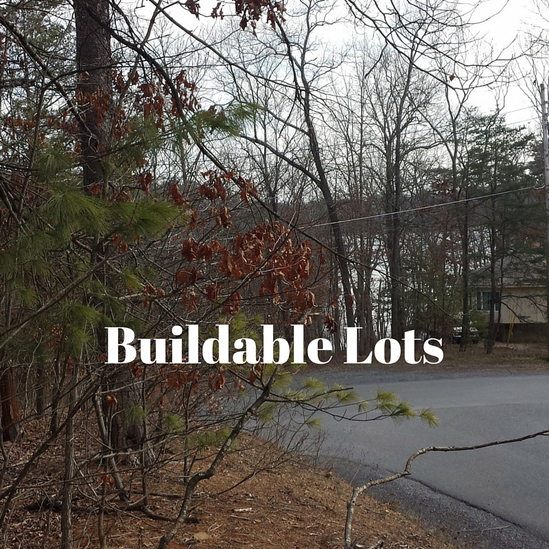 Lake Holiday VA Homes for Sale